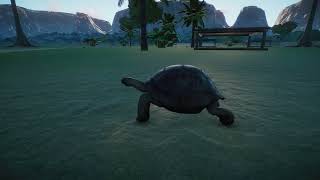 Planet Zoo  Aldabra Giant Tortoise [upl. by Oloap]