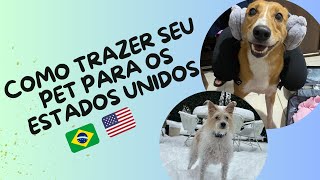 Como levar o seu cachorro para os Estados Unidos com visto de turista e quanto paguei ðŸ‡ºðŸ‡¸ [upl. by Nido]