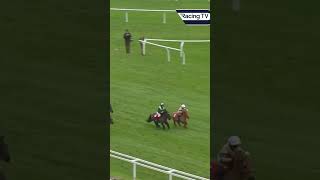 Incredible renewal of the Shetland Pony Race horse horseracing racingtv sport [upl. by Haletky444]