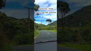 Get Ready to Explore New Zealand  Bethells Beach  shorts minivlogs travel nature [upl. by Oam]