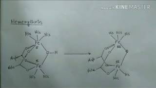 Bioinorganic chemistry part 3  hemeerythrin hemocyanin blue copper protein [upl. by East473]