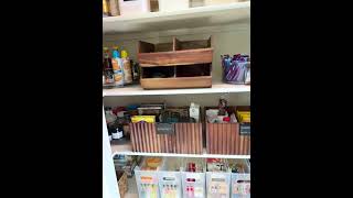 What Do Professional Organizers Use in Their Pantry professionalorganizer pantryorganization [upl. by Ehlke]