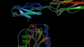 ICAMIntegrin inhibitors Rate My Science [upl. by Kal88]