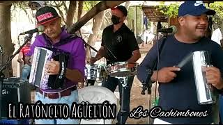 EL RATONCITO AGUEITON EN VIVO  LOS CACHIMBONES [upl. by Mosby]