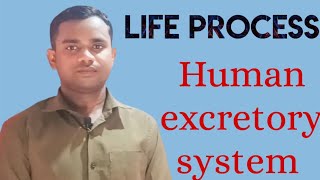 Human excretory system kidney class 10 th CBSE [upl. by Ahsinroc681]