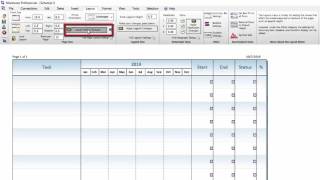 Milestones Professional Tutorial Schedule Size [upl. by Nitsoj927]