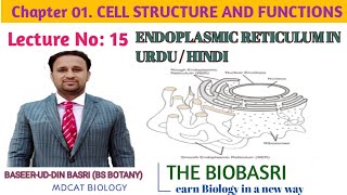 Endoplasmic Reticulum structure and Functions in Urdu Hindi [upl. by Goddart844]