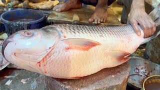 Amazing Giant Rohu Fish Cutting Skills Live In Fish Market  Fish Cutting Skills [upl. by Nivrae]