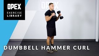 Dumbbell Hammer Curl  OPEX Exercise Library [upl. by Hoxsie334]