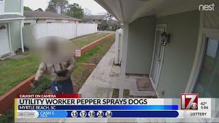 Utility worker pepper sprays dogs [upl. by Mead]