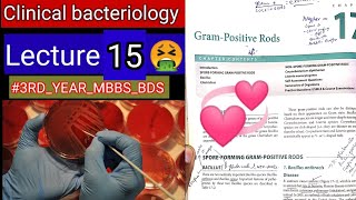 Special Bacteriology lectures2 Gram positive RODS Bacillus clostridum cornybacterium listeria [upl. by Virgel]