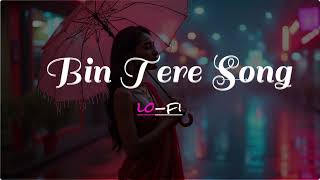 Bin Tere New Hindi Song [upl. by Cullie538]