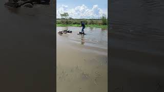 Atravessando lago com carroça submersa [upl. by Slosberg]