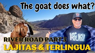 Riding Through the Wild West Lajitas and Terlingua Motorcycle Trip [upl. by Dubois62]