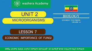 BIOLOGY GRADE 12 UNIT 2 LESSON 7 ECONOMIC IMPORTANCE OF FUNGI [upl. by Corette]