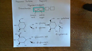 Antithrombin 3 and Heparin Part 6 [upl. by Kamila]