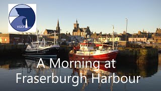 A Morning at Fraserburgh Harbour [upl. by Imehon]