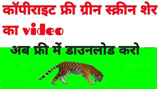 green screen tiger jump videogreenscreenvideo freegreenscreen [upl. by Slaohcin]