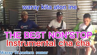 Best nonstop instrumental waray waray cha cha [upl. by Zsolway840]