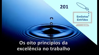 201 Os oito princípios da excelência no trabalho [upl. by Enawtna319]