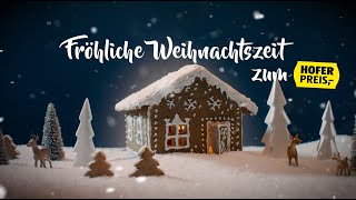 HOFER Weihnachtssong 2020 [upl. by Aleuqahs]