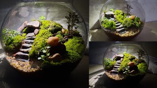 Terrarium  How to make terrarium  Moss terrarium  Fairy Garden [upl. by Humfrid]