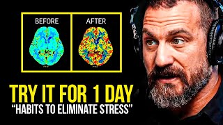 NEUROSCIENTIST You Will NEVER Be Stressed Again  Andrew Huberman [upl. by Natala877]