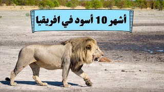 اشهر 10 اسود في افريقيا والتاريخ 2022  الجزء الثاني [upl. by Niemad]