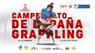 TAPIZ C  CAMPEONATO DE ESPAÑA DE GRAPPLING SENIOR [upl. by Saddler180]