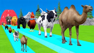 Paint amp Animals CowGorrilaElephantSheepDeerTigerLion Fountain Crossing Transformation Cartoon [upl. by Gitt]