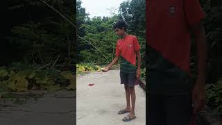 YouTube viral magic magic viralvideo viralshorts [upl. by Ane]