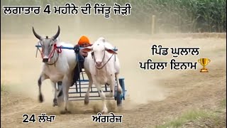 🐂 Ox race Ghulal SAMRALA 1st 🥇 🏆 ਬੈੱਲ ਗੱਡੀਆ ਦਿਆ ਦੌੜਾ ਪਿੰਡ ਘੁਲਾਲ ਸਮਰਾਲਾ 352024 ਪਹਿਲਾ ਇਨਾਮ 🔥🏆 [upl. by Arissa109]