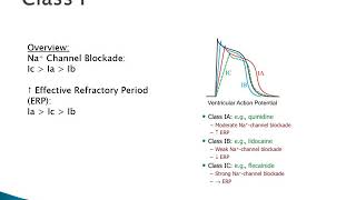 Pharmacology of Antiarrhythmics [upl. by Colwell311]