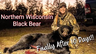 Big Block Head Wisconsin Black Bear After A 13 Year Wait [upl. by Suertemed535]