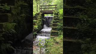 Unterwegs am Kaltenbach bei Annweiler  Wandern im Pfälzer Wald [upl. by Anelej]