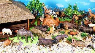 Animal Shelter Diorama and Herbivore Animal Figurines  Learn Animal Names [upl. by Harad]