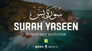 Amazing and Heart touching beautiful voice  Surah Yasin Yaseen سورة يس  Zikrullah TV [upl. by Short]