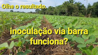 Plantio sobre palhada verde funciona inoculação via barra na soja funciona [upl. by Farwell]