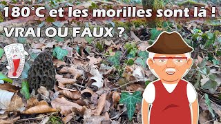 Quand trouver des morilles  180°C et les morilles sont là  Légende des anciens ou vérité [upl. by Yekim990]