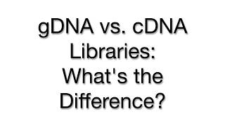 DNA Libraries Genomic vs cDNA  Key Differences and Applications [upl. by Reinal]