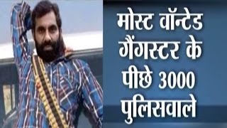 Most Wanted Gangster Anand Pal Singh and 3000 Policemen [upl. by Danyelle]