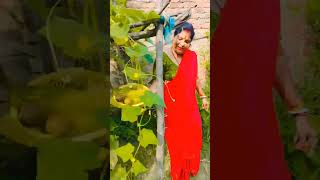 Milna bichadna reet yahi hai 😊 ll gardeningvideos organic sabjiyanshortvideo ytshorts garden [upl. by Arikahc]