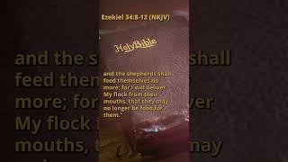 Ezekiel 34812 NKJV [upl. by Ibrek]