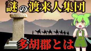 どこからやって来たのか？1300年前の群馬にいた渡来人集団 多胡郡の謎 [upl. by Hey131]