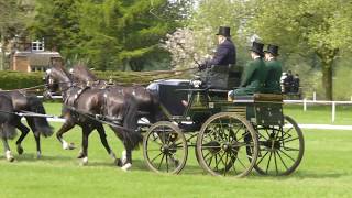 BOWMAN George GBR RWHS 2016 CAIO4 Windsor GB Horse Four in Hand Dressage12 05 2016 [upl. by Annorah]