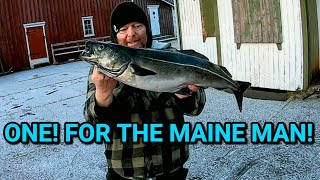 The challenge from Maine [upl. by Olinad]