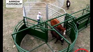 BudFlow® Force Yard  Cattle Tub  Cattle Equipment  Arrowquip [upl. by Marcie]