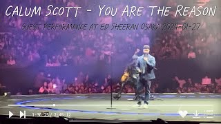 Calum Scott  Intro  You Are The Reason guest performance at Ed Sheeran’s ÷X TOUR 2024 Osaka [upl. by Kinny]