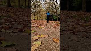 Walking on Autumn leaves falling off Autumn Trees stowe uk [upl. by Chaudoin]