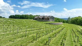 Wisconsin Luxury Home For Sale w Vineyard [upl. by Selene]